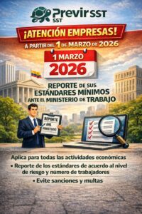 Reporte estándares mínimos